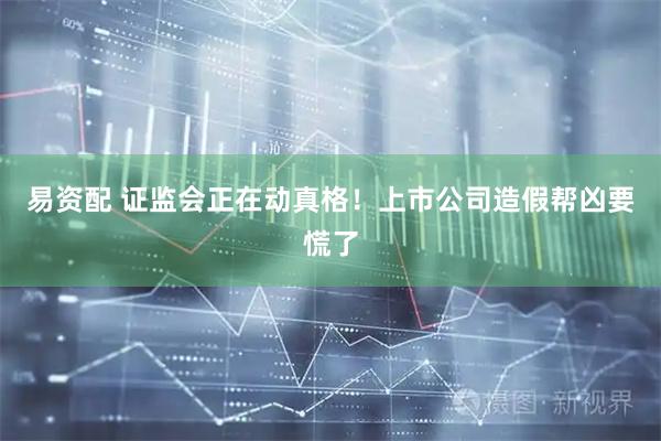 易资配 证监会正在动真格！上市公司造假帮凶要慌了