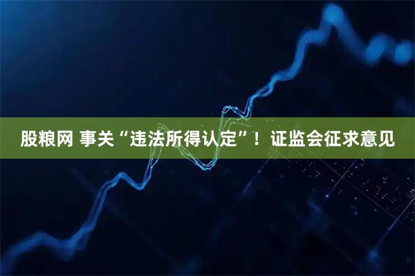股粮网 事关“违法所得认定”！证监会征求意见