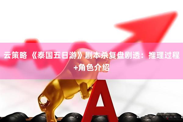 云策略 《泰国五日游》剧本杀复盘剧透：推理过程+角色介绍