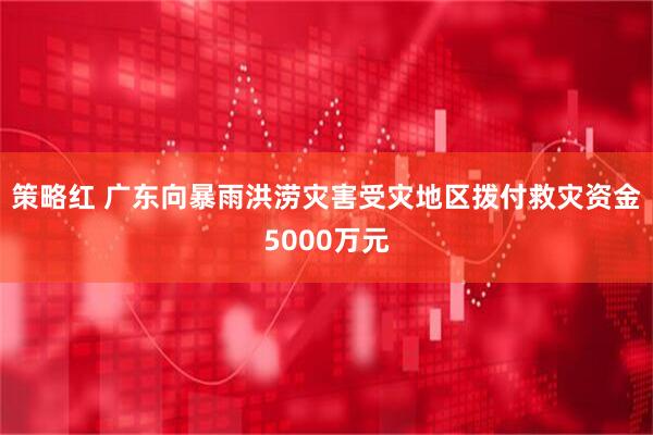 策略红 广东向暴雨洪涝灾害受灾地区拨付救灾资金5000万元